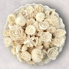 Sola Flowers